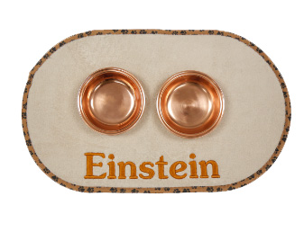 Personalized embroidered pet food mat